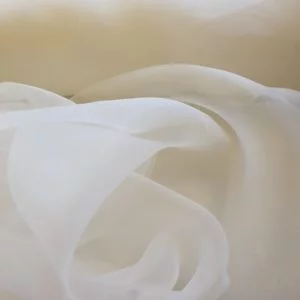 Polyester Sheer crisp Wedding Organdie