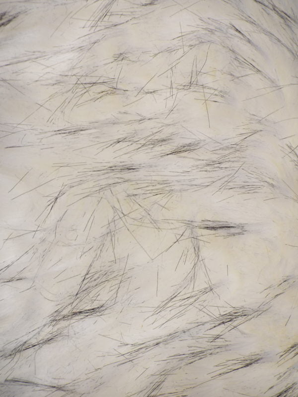 image_1