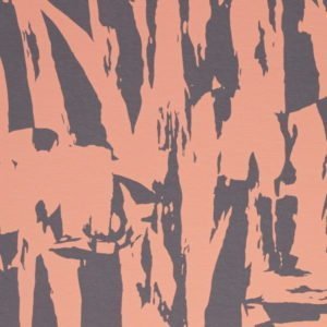 Stretch Abstract and Floral Cotton Jersey in Salmon Pinks