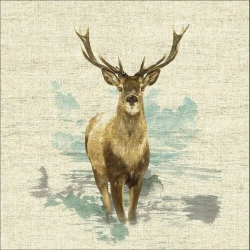 Crafty Linen panels Cushion Kits - SALE - Image 4