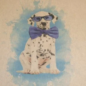 Crafty Linen panels Novelty Characters - SALE