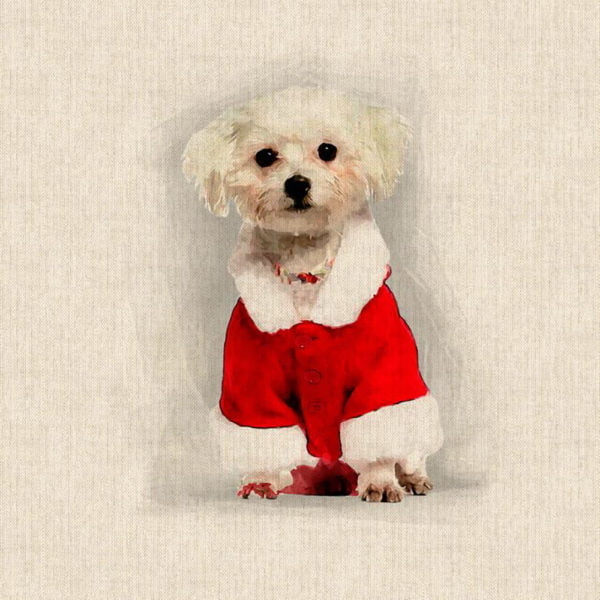 Crafty Linen panel Christmas Cushion Kits - SALE - Image 17