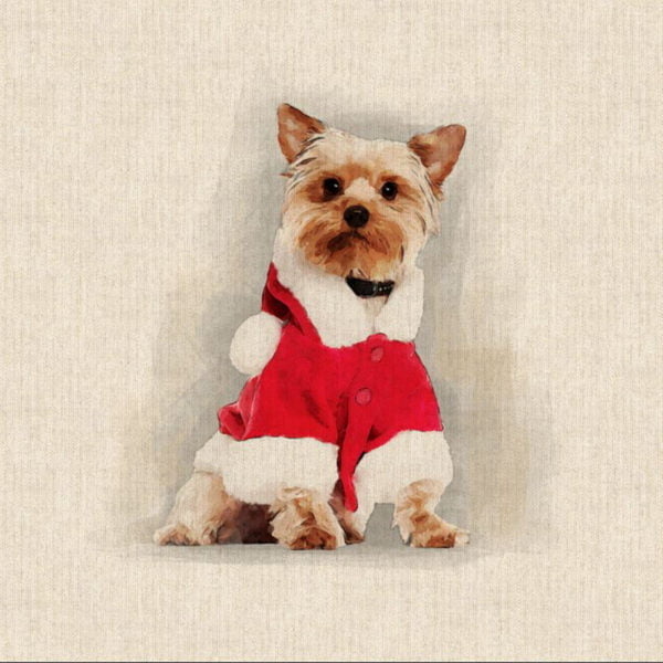 Crafty Linen panel Christmas Cushion Kits - SALE - Image 11