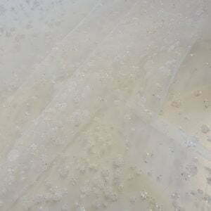 Irredescent Sparkle Flocked Organza Spotted Tulle in Parchment