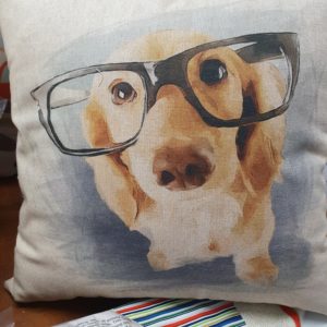 Crafty Linen Cushion Kits of Novelty Characters - SALE