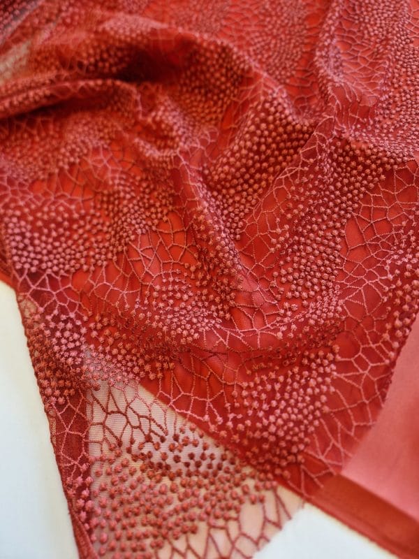 Embroidered Abstract Lace - Image 2