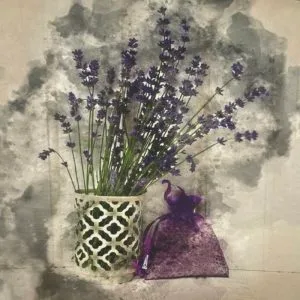 Premium Crafty Cotton picture panels