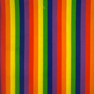 Cotton Poly Poplin Rainbow Stripe | Narrow